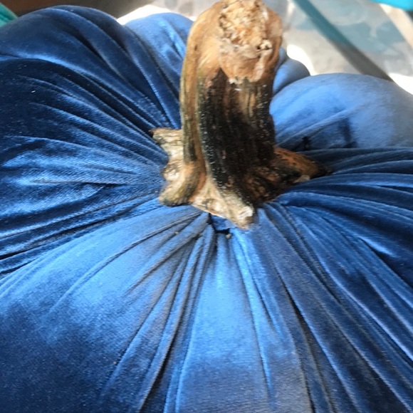 Blue velvet pumpkin with real stem - Picture 3 of 3